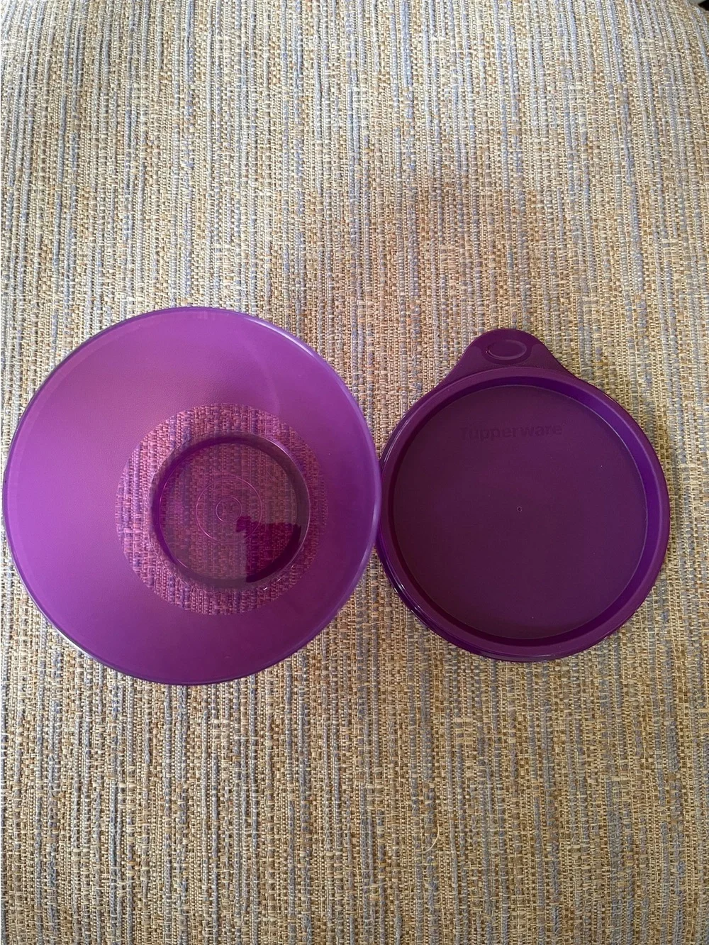 Tupperware A Little Bit of Everything Lunch/Leftover Set NEW